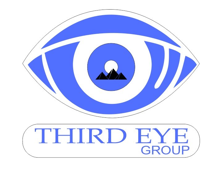 The Third Eye Group Logo